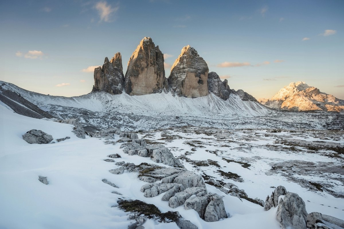 따뜻한 가족의 품