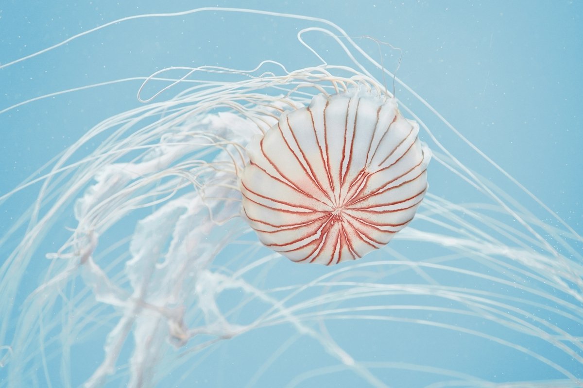 자연과 함께하는 순간