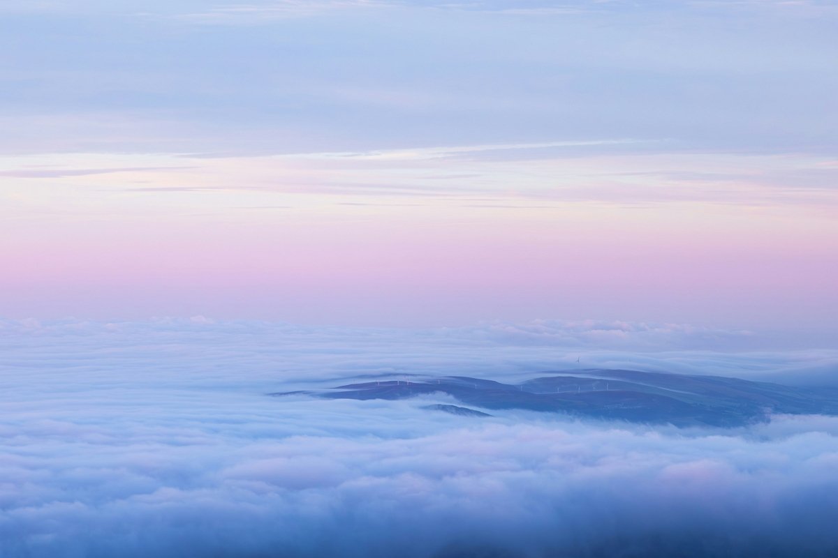 아름다운 꽃길에서