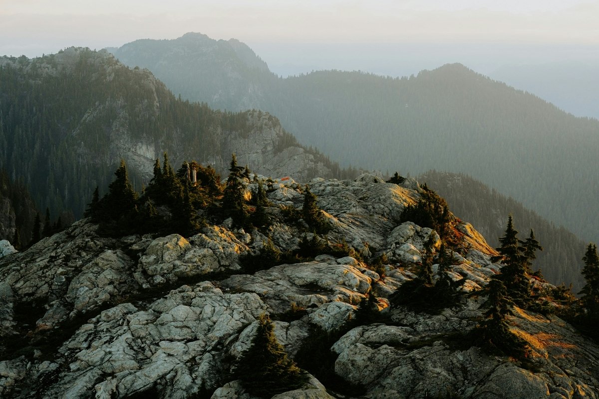 상쾌한 아침 공기
